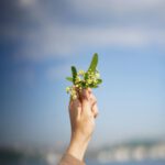 Psychologische Beratung Weinheim Praxis DELPHI