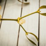 Psychotherapie Trauma Weinheim Praxis DELPHI