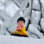 Petra Weiß, Heilpraktikerin Weinheim, Traumatherapie, Familienstellen